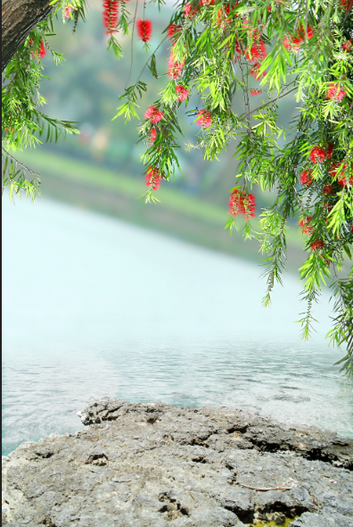 小湖花卉背景玄关psd模版下载