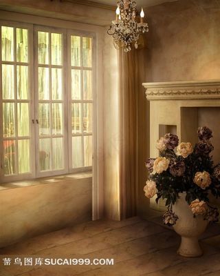 仿真花窗户室内摄影背景图片