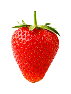 红色草莓 素材 免扣