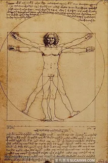 达芬奇名画维特鲁威人 达芬奇名画维特鲁威人