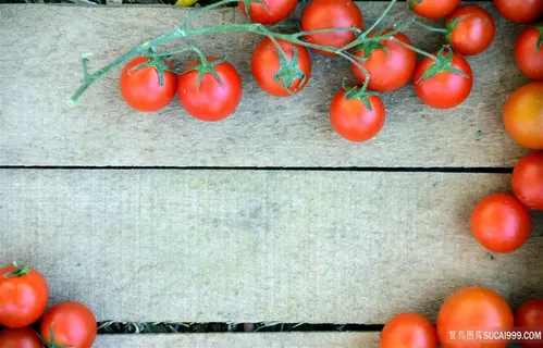 西红柿边框木板背景 西红柿边框木板背景