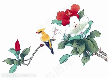 中国画水墨画-花枝上的黄鹂鸟 中国画水墨画-花枝上的黄鹂鸟