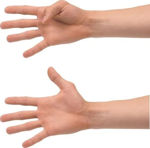 手 PNG免抠(2396x2363)