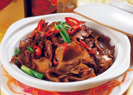 95C-220神仙菊花菌