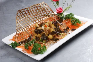 CXC00301茶香掌中宝    46茶香味