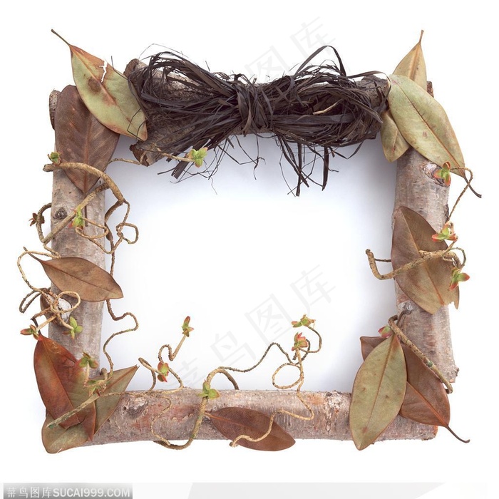 相框边框-树叶相框