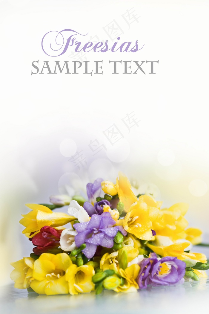 鲜花花束卡片高清图片