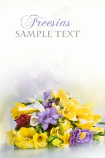 鲜花花束卡片高清图片 鲜花花束卡片高清图片