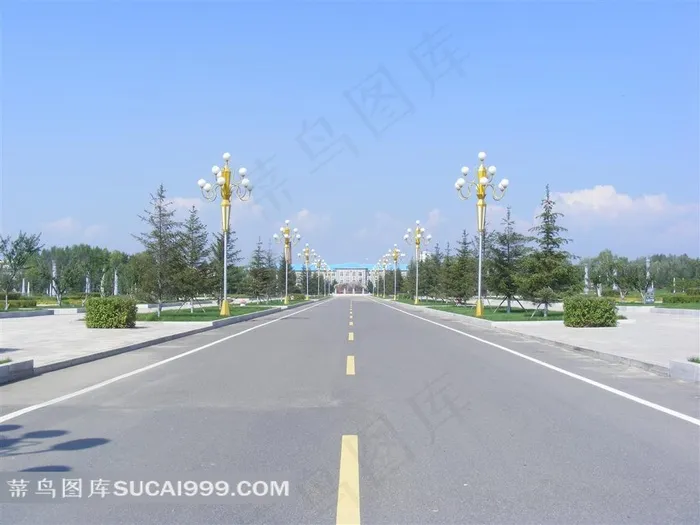 海林*路摄影图片