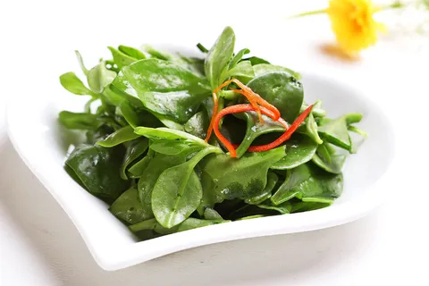 L01965药食田七苗 (4)