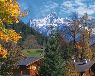 雪山脚下树林间的房屋