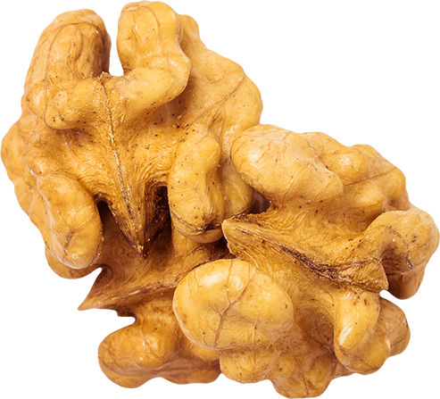 10_Walnut
