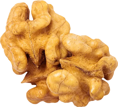 10_Walnut