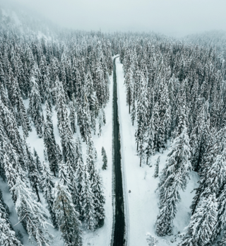 家具软膜灯箱画面