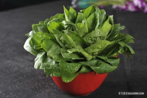 高清新鲜杯装菠菜火锅配菜图片