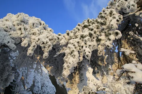 安徽安庆天竺山雪景图片-第1张 安徽安庆天竺山雪景图片-第1张