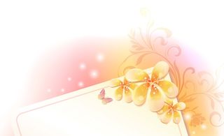 简约风名片海报边框图框素材AI矢量图 (114)