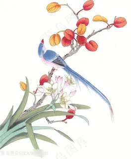 花鸟树枝时尚简约装饰画