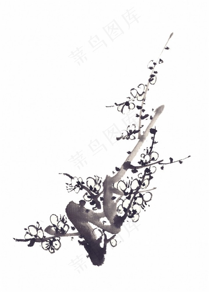 国画水墨梅花图片素材