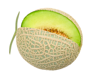 哈密瓜 (16)水果超市商品白底图免抠实物摄影png格式图片透明底
