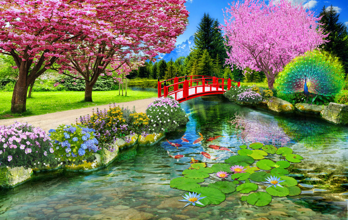 桃花花卉孔雀荷花小湖风景