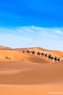 沙漠中的骆驼队