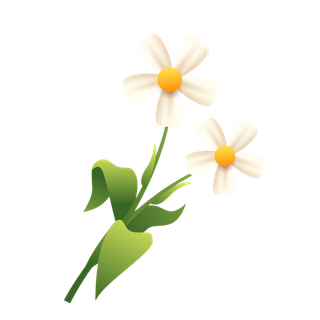 小清新弥散风白色花朵插画素材