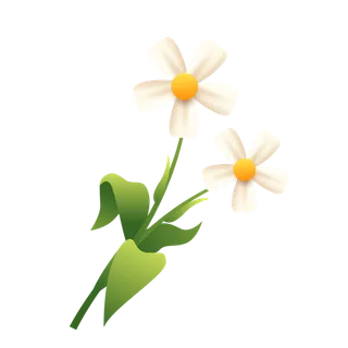 小清新弥散风白色花朵插画素材