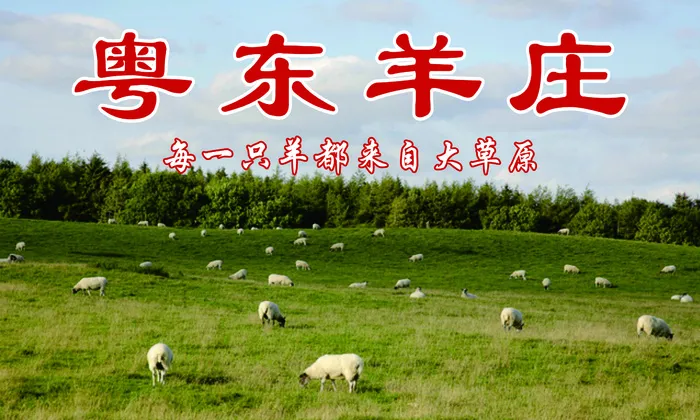 绿色田间羊庄羊场海报cdr矢量模版下载