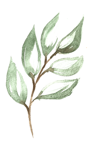 唯美森系手绘水彩花朵 免抠