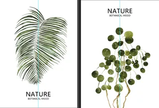 两联自然叶子装饰画