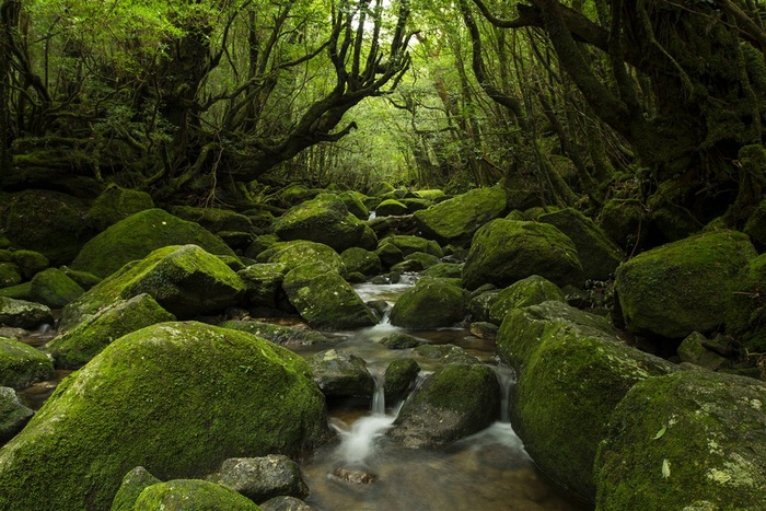 湖南张家界风景