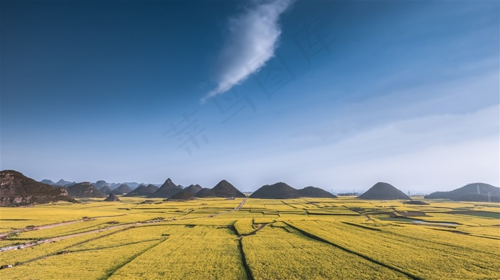 唯美田园油菜花图片