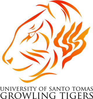 老虎头简笔线条画