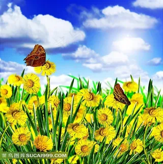 花丛盛开鲜花设计素材