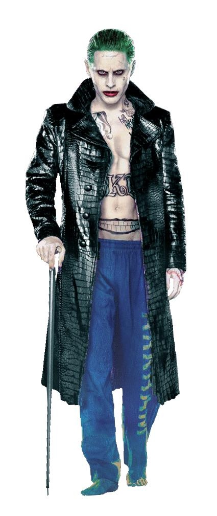 小丑 PNG免抠(425x1009)