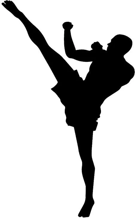 泰拳 PNG免抠(452x730)