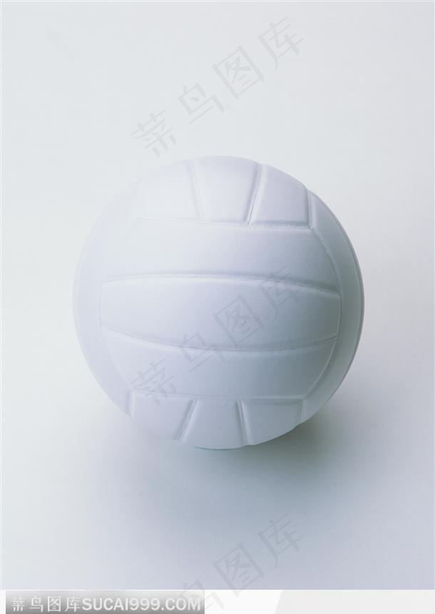新的排球