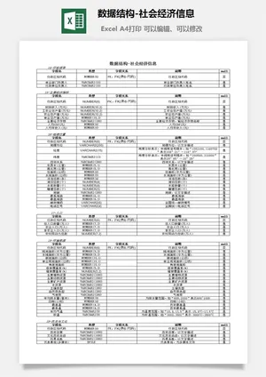 数据结构-社会经济信息excel模板预览图