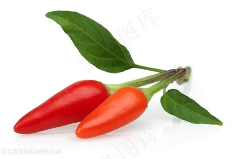 新鲜的红辣椒食物高清图片 新鲜的红辣椒食物高清图片