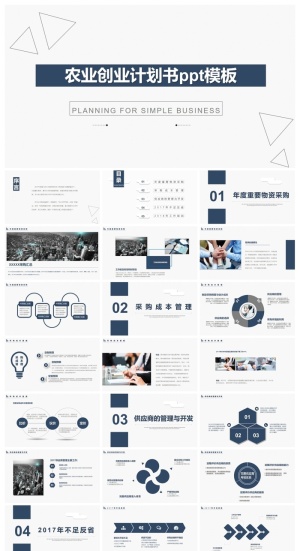 简洁时尚大气农业创业计划书ppt模板预览图