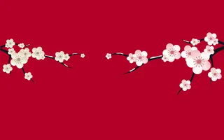 中国风古典传统图案边框纹理祥云灯笼装饰线条PSD背景素材