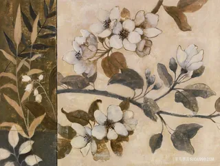 植物树枝花卉复古插画