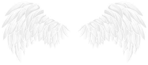 翅膀 PNG免抠(8000x3506)