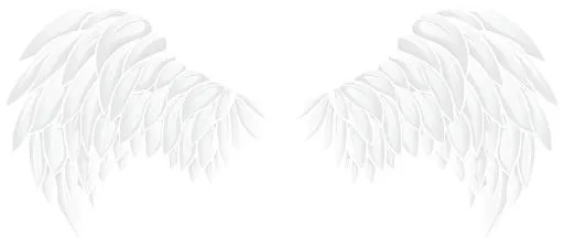 翅膀 PNG免抠(8000x3506)