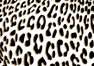 豹纹纹理纹路