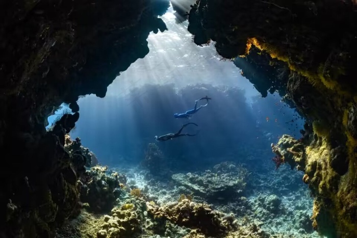 海里的美景