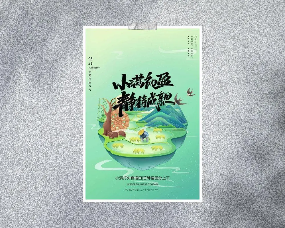 小满 小满海报psd模版下载