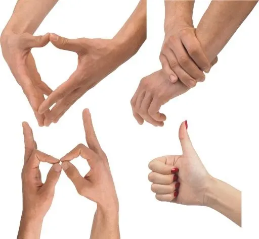 手 PNG免抠(3688x3416)