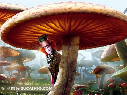 大蘑菇下的恐怖人物电影海报